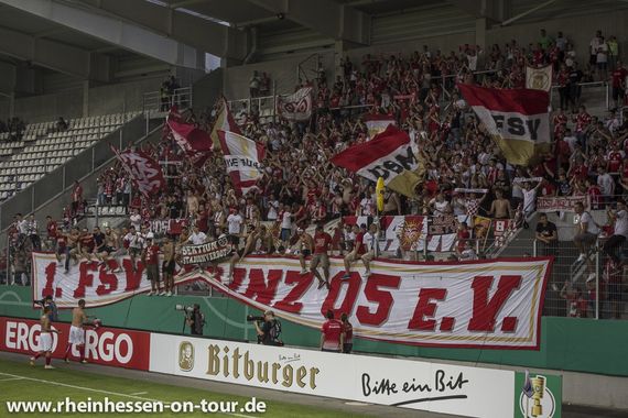 FC Erzgebirge Aue vs 1. FSV Mainz 05 (1-3) (29)
