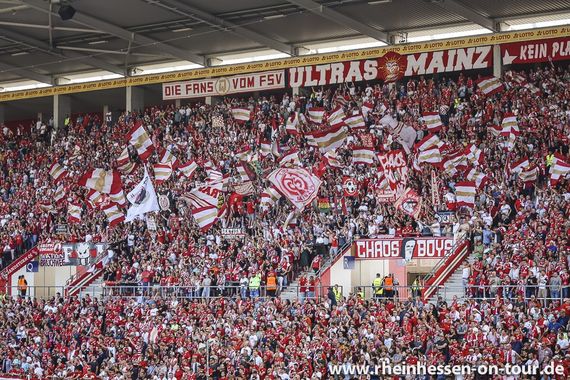 1. FSV Mainz 05 vs Borussia Mönchengladbach (1-3) (22)