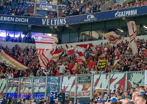 FC Schalke 04 vs 1. FSV Mainz 05 (2-1)