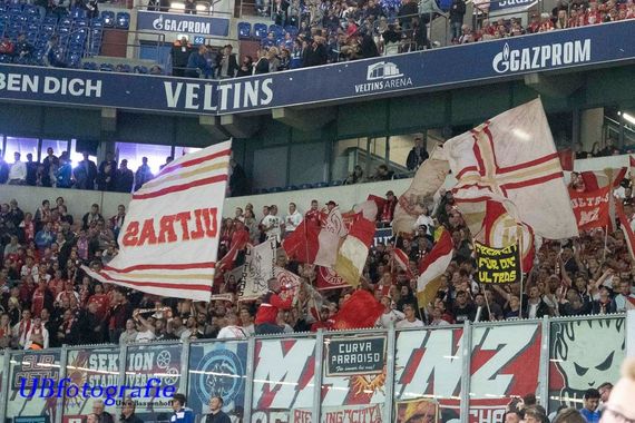 FC Schalke 04 vs 1. FSV Mainz 05 (2-1) (2)