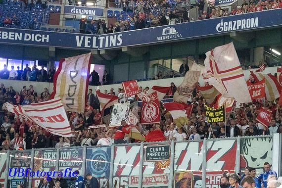 FC Schalke 04 vs 1. FSV Mainz 05 (2-1) (4)