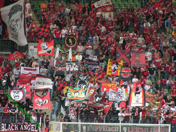 Bayer 04 Leverkusen vs Borussia Mönchengladbach (5-1) (2)