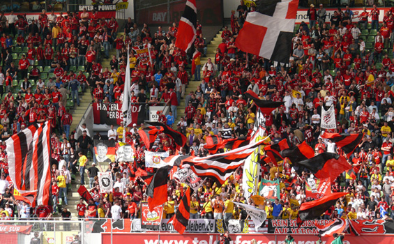 Bayer 04 Leverkusen vs VfL Bochum (1-1) (4)