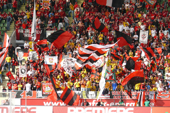 Bayer 04 Leverkusen vs VfL Bochum (1-1) (5)
