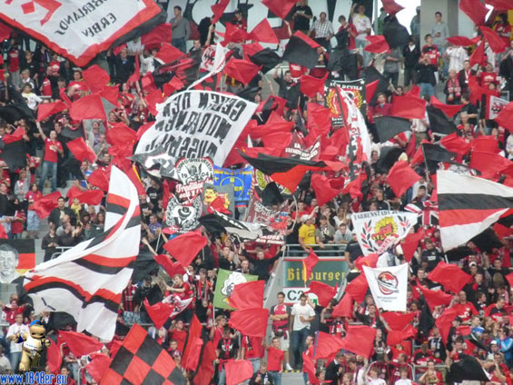 Bayer 04 Leverkusen vs VfL Bochum (2-1) (1)