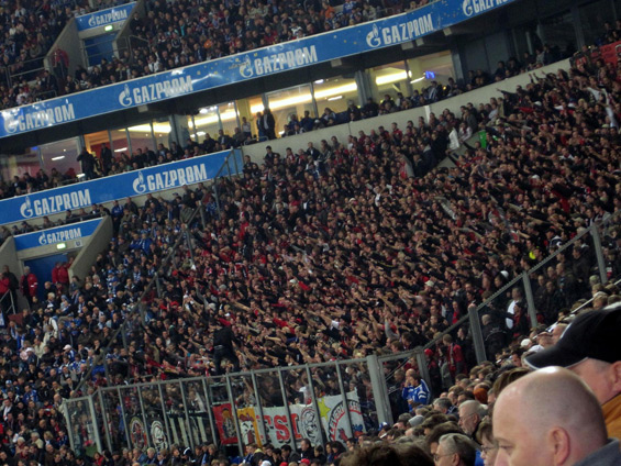 FC Schalke 04 vs Bayer 04 Leverkusen (0-1) (3)