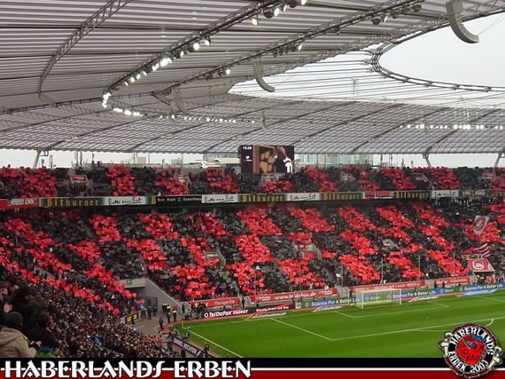 Bayer 04 Leverkusen vs VfB Stuttgart (4-2) (6)