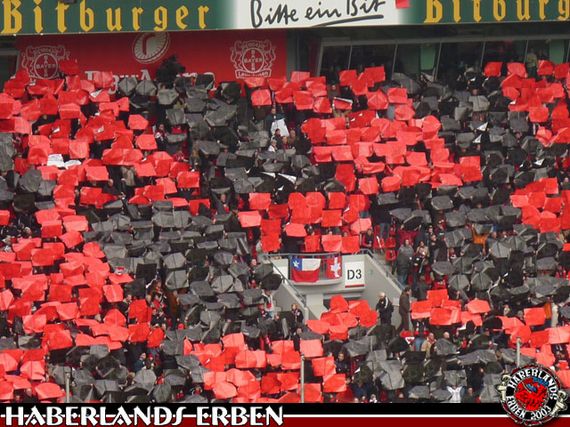 Bayer 04 Leverkusen vs VfB Stuttgart (4-2) (11)