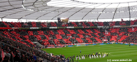 Bayer 04 Leverkusen vs VfB Stuttgart (4-2) (20)