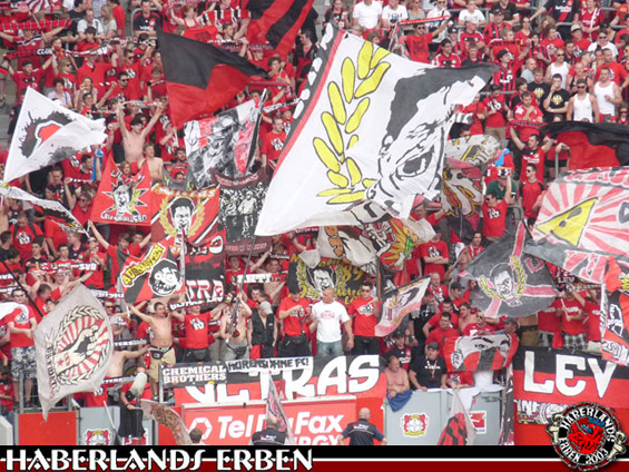 Bayer 04 Leverkusen vs TSG Hoffenheim (2-1) (5)