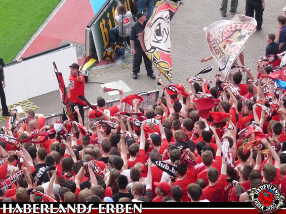Bayer 04 Leverkusen vs TSG Hoffenheim (2-1) (8)