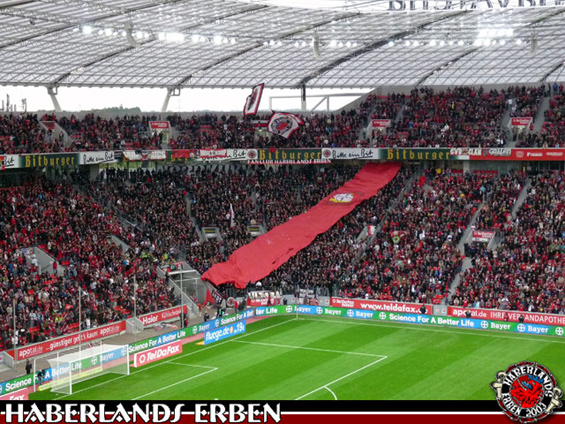 Bayer 04 Leverkusen vs 1. FC Nürnberg (0-0) (6)