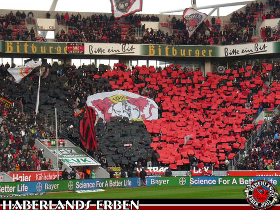 Bayer 04 Leverkusen vs VfB Stuttgart (2-2) (3)