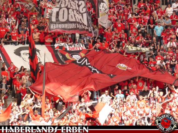 Bayer 04 Leverkusen vs Hannover 96 (1-0) (3)