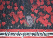 Bayer 04 Leverkusen vs Benfica Lissabon (0-1)