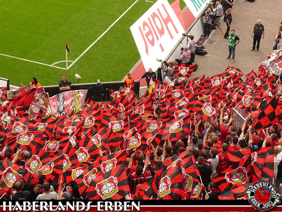 Bayer 04 Leverkusen vs SC Freiburg (2-0) (10)