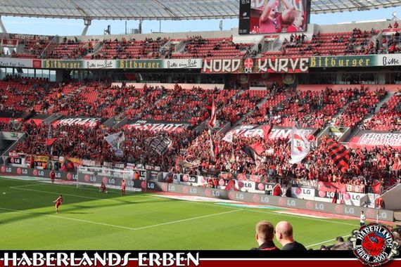 Bayer 04 Leverkusen vs SC Paderborn (2-2) (1)