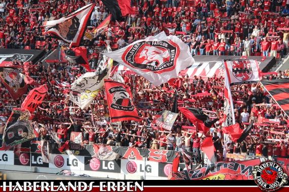 Bayer 04 Leverkusen vs SC Paderborn (2-2) (8)