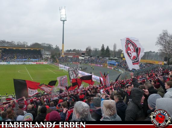 SV Darmstadt 98 vs Bayer 04 Leverkusen (1-2) (9)