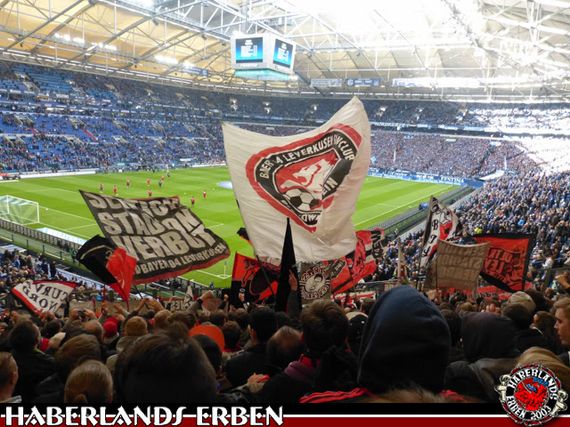 FC Schalke 04 vs Bayer 04 Leverkusen (2-3) (2)