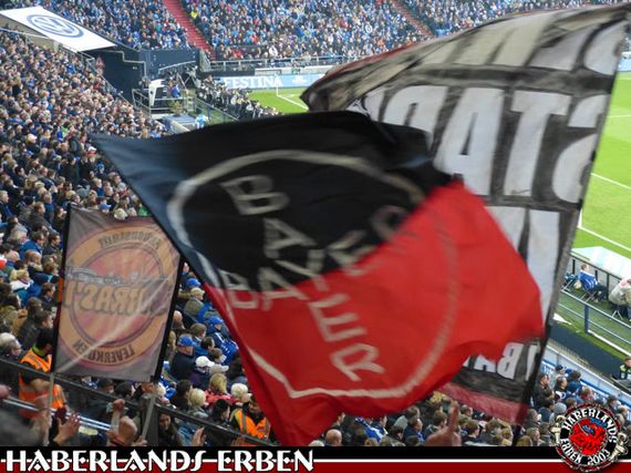 FC Schalke 04 vs Bayer 04 Leverkusen (2-3) (7)