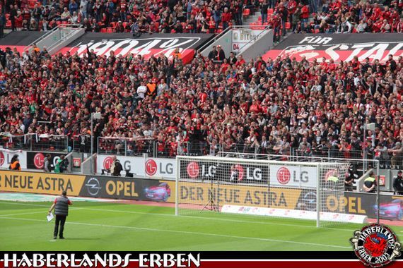 Bayer 04 Leverkusen vs FC Ingolstadt 04 (3-2) (4)