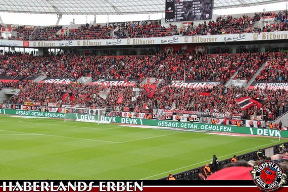 Bayer 04 Leverkusen vs FC Ingolstadt 04 (3-2) (9)