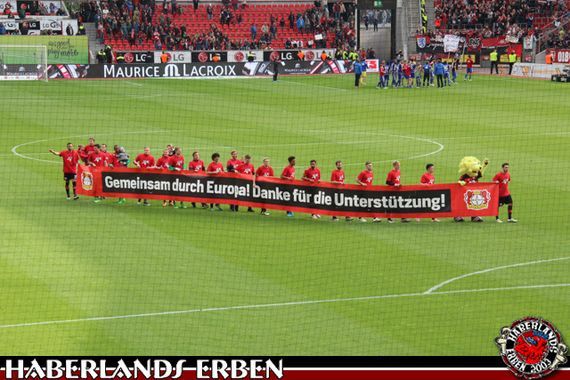 Bayer 04 Leverkusen vs FC Ingolstadt 04 (3-2) (21)