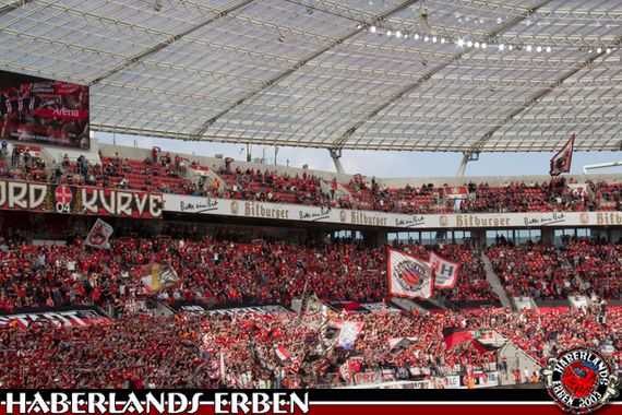 Bayer 04 Leverkusen vs SV Darmstadt 98 (0-1) (6)