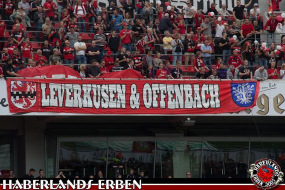 Bayer 04 Leverkusen vs SV Darmstadt 98 (0-1) (9)