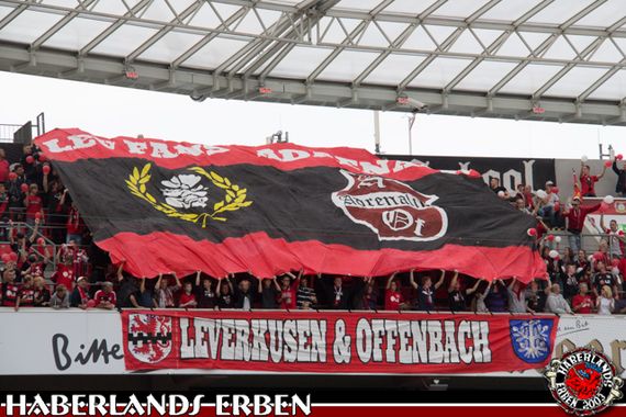 Bayer 04 Leverkusen vs SV Darmstadt 98 (0-1) (13)