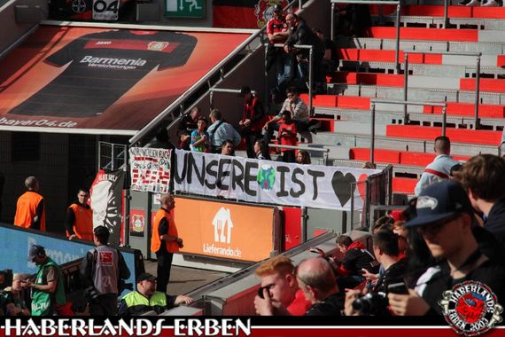 Bayer 04 Leverkusen vs VfL Wolfsburg (3-3) (5)