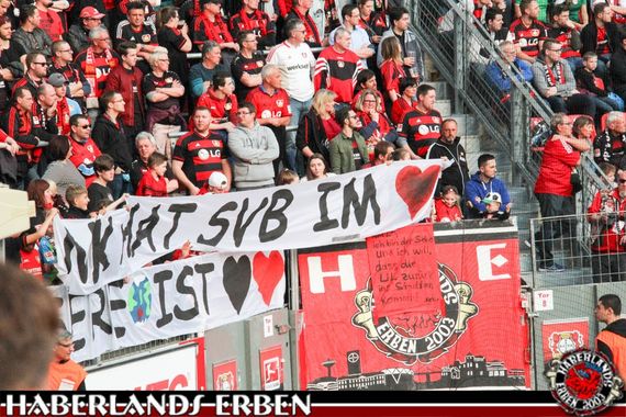 Bayer 04 Leverkusen vs VfL Wolfsburg (3-3) (26)