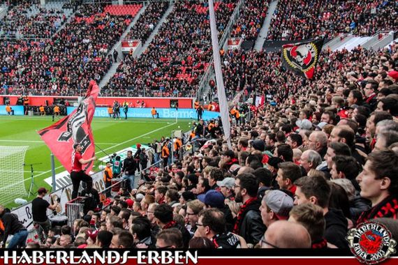 Bayer 04 Leverkusen vs 1. FC Köln (2-1) (3)