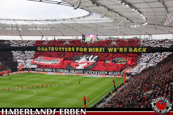 Bayer 04 Leverkusen vs 1. FC Köln (2-1) (14)