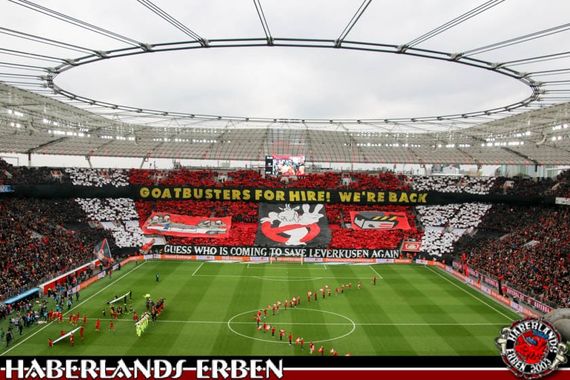 Bayer 04 Leverkusen vs 1. FC Köln (2-1) (18)