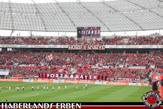 Bayer 04 Leverkusen vs TSG Hoffenheim (2-2) (5)