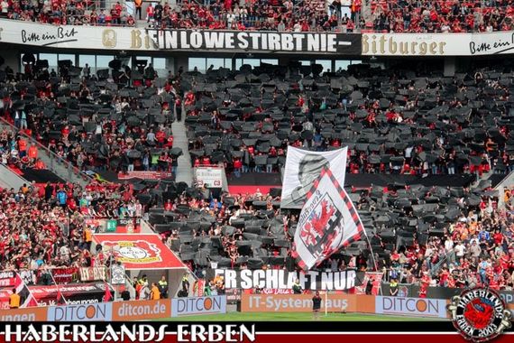 Bayer 04 Leverkusen vs Eintracht Frankfurt (4-1) (3)