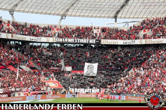 Bayer 04 Leverkusen vs Eintracht Frankfurt (4-1) (6)