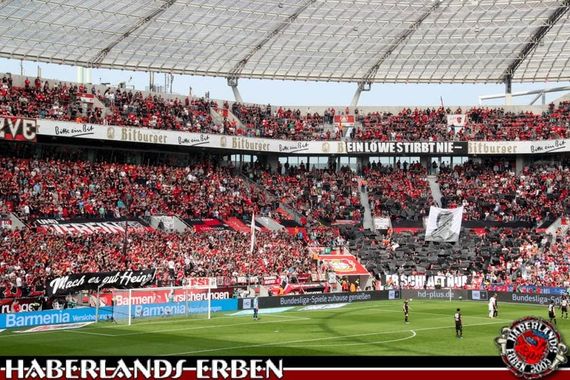 Bayer 04 Leverkusen vs Eintracht Frankfurt (4-1) (8)