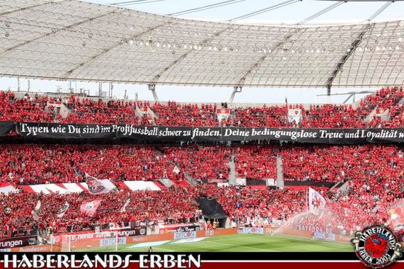 Bayer 04 Leverkusen vs Hannover 96 (3-2) (6)