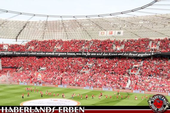 Bayer 04 Leverkusen vs Hannover 96 (3-2) (7)