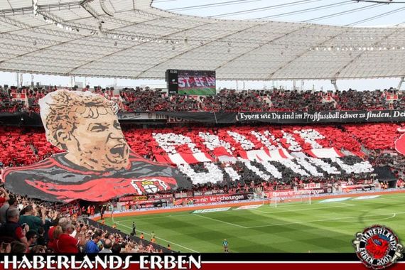 Bayer 04 Leverkusen vs Hannover 96 (3-2) (13)