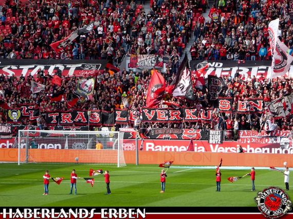 Bayer 04 Leverkusen vs SC Freiburg (4-0) (3)