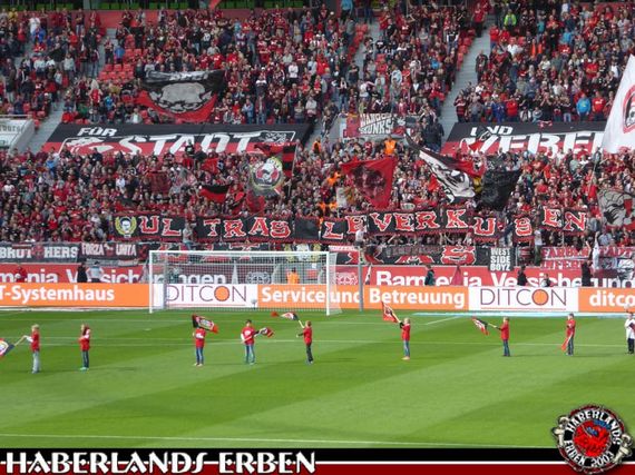 Bayer 04 Leverkusen vs SC Freiburg (4-0) (5)