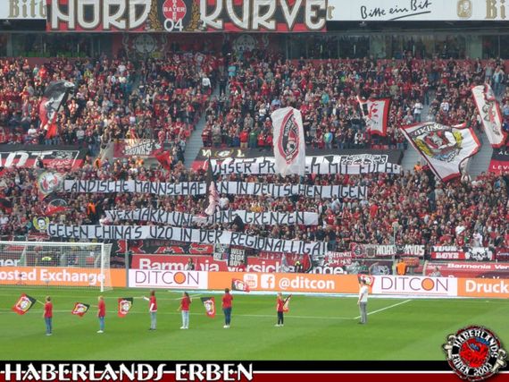 Bayer 04 Leverkusen vs Hamburger SV (3-0) (4)
