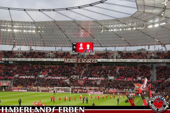Bayer 04 Leverkusen vs FC Augsburg (1-0) (4)