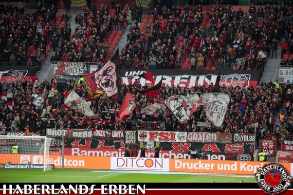 Bayer 04 Leverkusen vs FC Augsburg (1-0) (5)