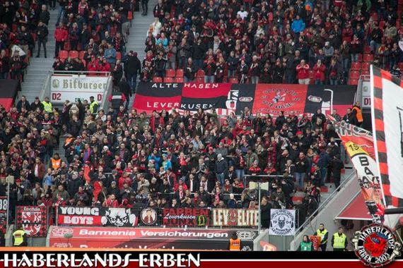 Bayer 04 Leverkusen vs FC Augsburg (1-0) (6)