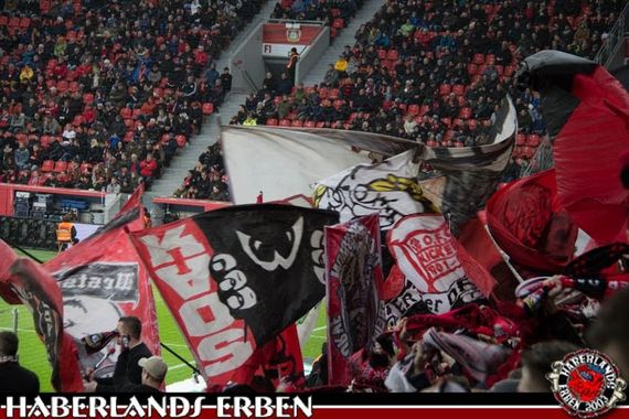 Bayer 04 Leverkusen vs FC Augsburg (1-0) (9)